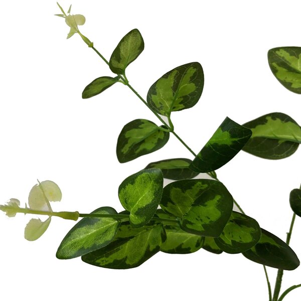 Wyld Haus Set of 3 Artificial Flowers Variegated Leaf Spray