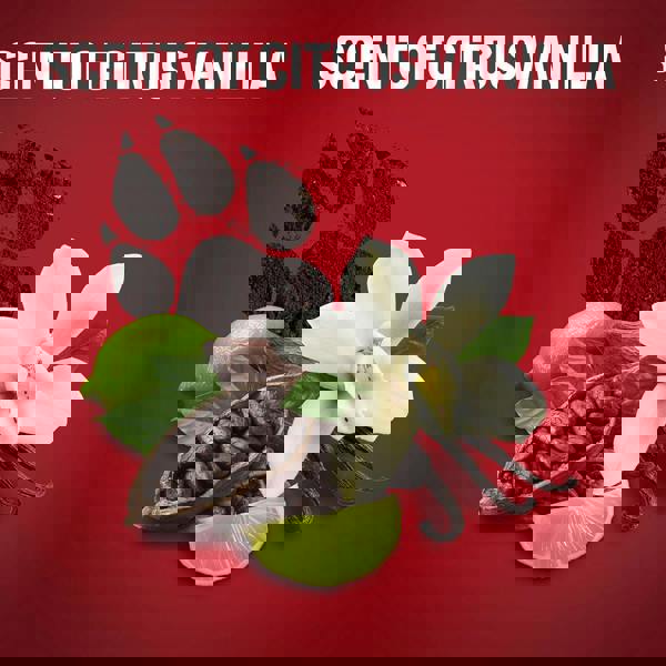 Old Spice Deodorant Body Spray Night Panther 150ml