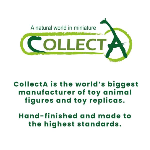 CollectA Border Collie