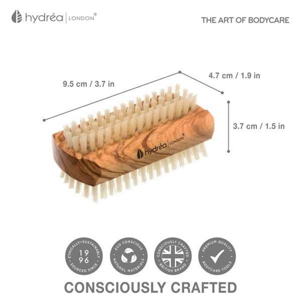 Hydréa London Large Olive Wood Nail Brush Natural Bristle