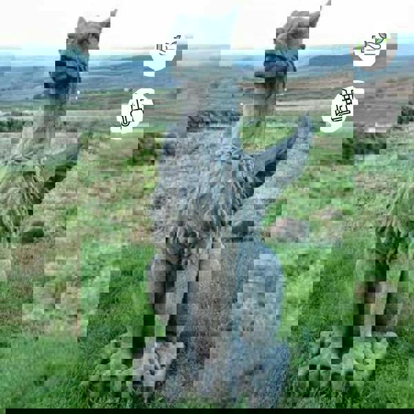 Large Winged Stone Griffin Ornament Gargoyle Gryphon Style