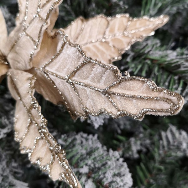 Samuel Alexander 50cm Champagne Velvet Poinsettia Stem with Glitter Christmas Decoration