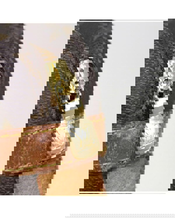 165172312.jpg