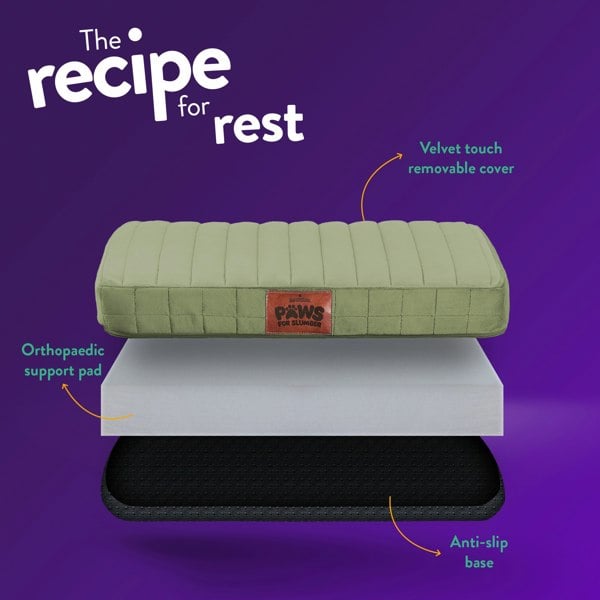 Slumberdown Paws for Slumber Orthopedic Pet Bed