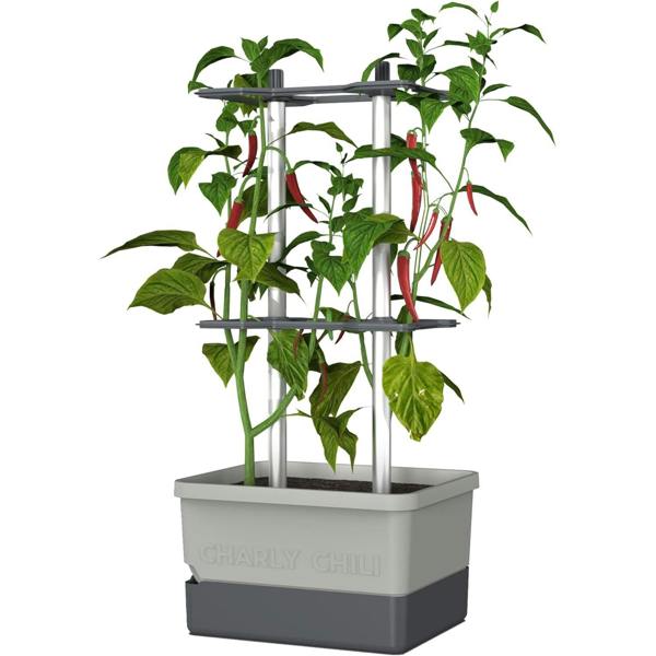 CHARLY CHILI Chili pot with water tank & climbing system - Light Grey