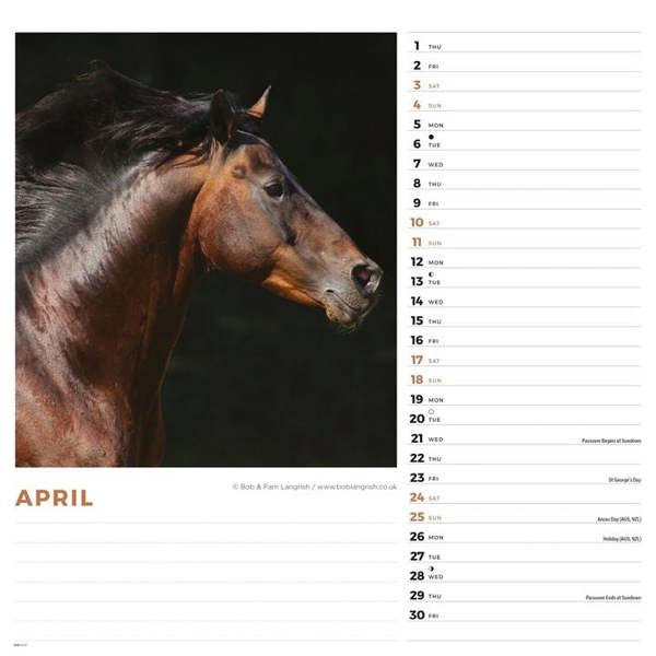 Horses Calendar 2027, Wall Calendars, Month To View, Animals, Gift