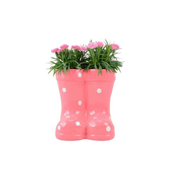 Pink ceramic polka dot wellies planter planted with vibrant pink Dianthus flowers