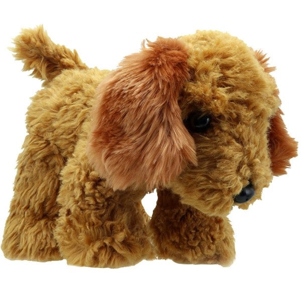 Wilberry Cockapoo (Golden) - Wilberry Favourites