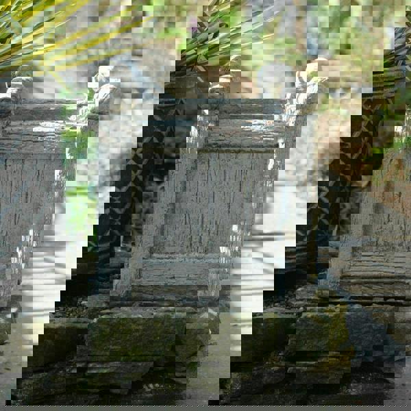 Stone Cast Square Wood Design Pot