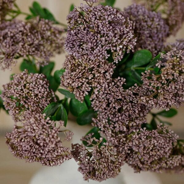 Wyld Haus Set of 3 Artificial Flowers Purple Sedum Sprays