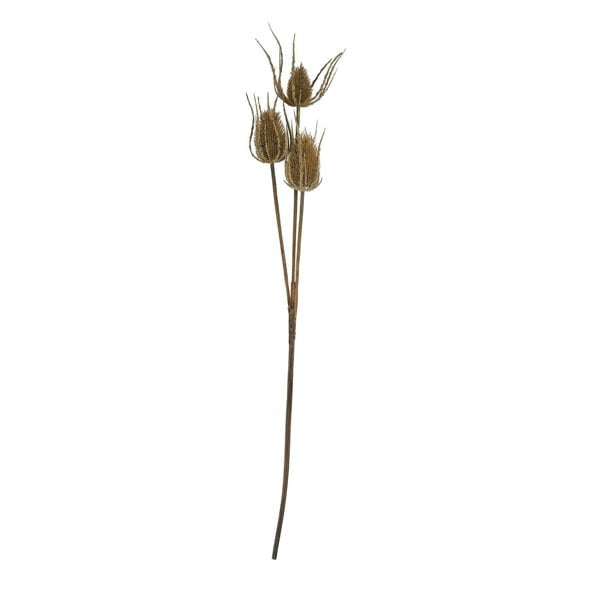 Hill Interiors Triple Teasel Artificial Flower - Brown