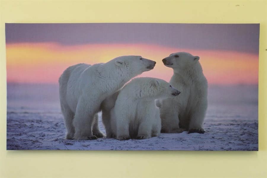 Large '3 Polar Bears' Canvas Print