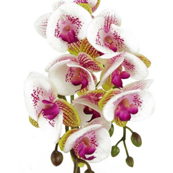 Leaf 48cm Harlequin Orchid Artificial  - Pink with Gold Pot