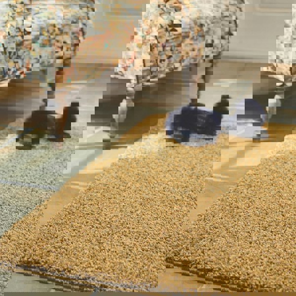 The Rugs Soft Tufted Washable Rugs - Soft & Durable