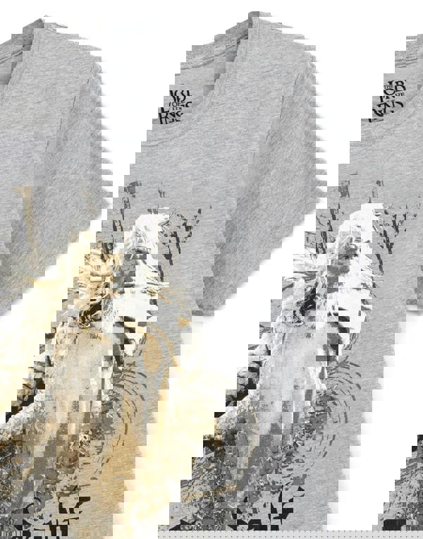 Lord Of The Rings Mens Grey Gandalf Short Sleeved T-Shirt