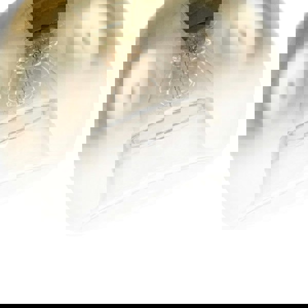 Modern Polished Gold and Clear Glass Circular Pendant Lighting Shade Image 5