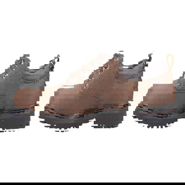 Skechers Tom Cats Men's Shoes in Dark Brown
