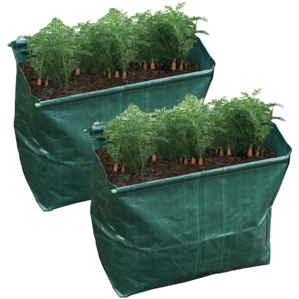 Scotts of Stow Carrot Planter - Pack of 2