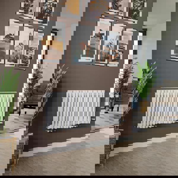 Agadon Kylo 3 Column Traditional Radiator