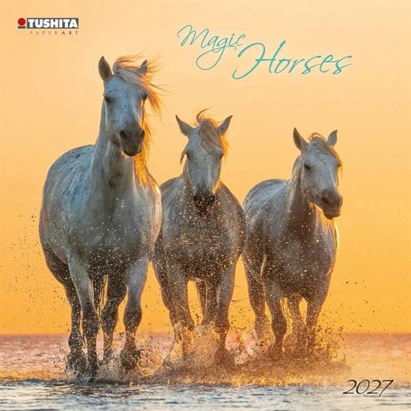 Magic Horses Calendar 2027, Wall Calendars, Month To View, Animals, Gift