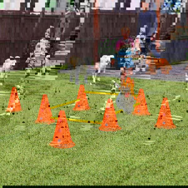 Pet Agility Set