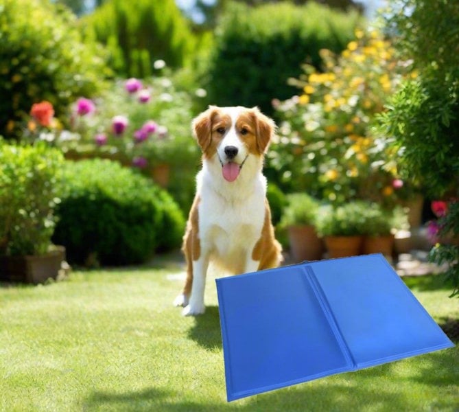 Generise Pet Cooling Gel Mat - 40cm x 30cm- Blue