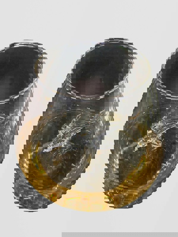 Glass Shark Wine Glass. A Fin-tastic Twist on Your Tipple