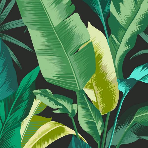 Envy Leaf It Out Wallpaper - Midnight - 10m