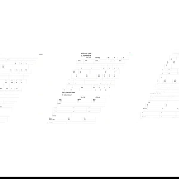 Black Speedo men’s 16’’ watershorts with elasticated waist