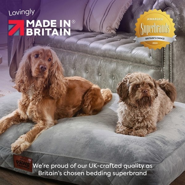 Paws for Slumber Padded Pet Bed, Blue, Extra Large