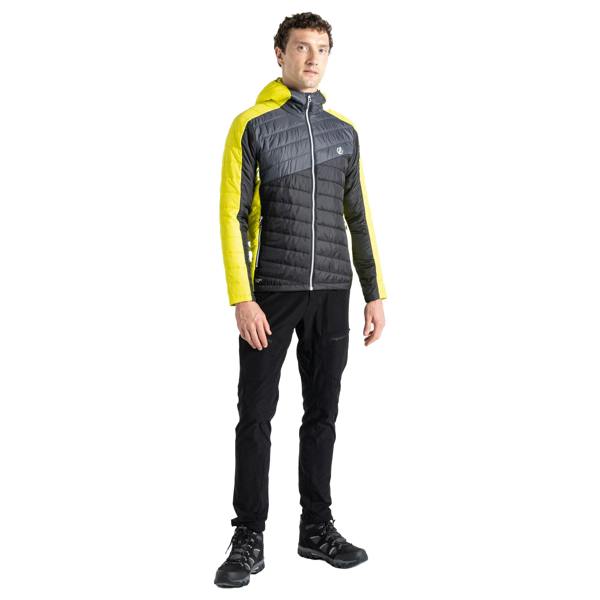 Dare 2B Mens Touring Padded Jacket - Neon Spring/Dark Storm - 