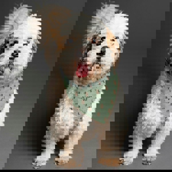 Personalised Memento Company Personalised Highland Cow Dog Bandana