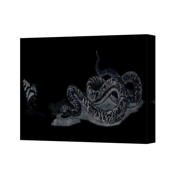 Benjamin Tate Design Coiled Snake Canvas Wall Art Print Black Background Decor