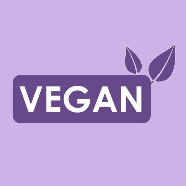 Sekoa Jamaican Black Castor Oil Shampoo Conditioner Duo