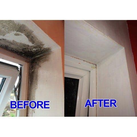 ProKleen 10L + 750ml of Pro-Kleen Mould & Mildew Remover Killer & Cleaner Super Concentrate Spray