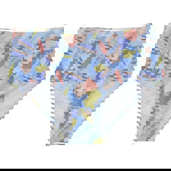 Regatta Womens Paloma Abstract Floral Swim Briefs - Blue