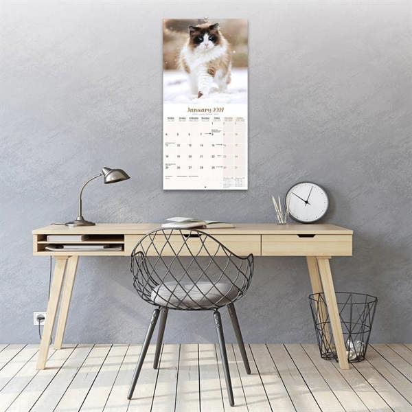 Ragdoll Cats Calendar 2027, Wall Calendars, Month To View, Cats, Gift