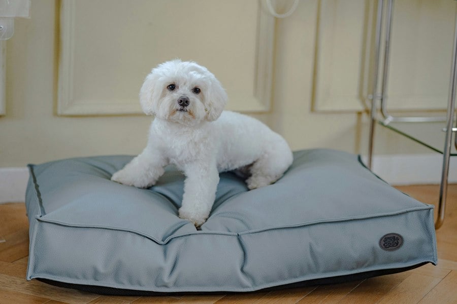 Snug and Cosy Pets Monza Lounger two colours