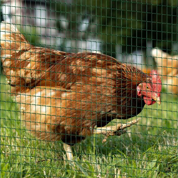 Wire Mesh Fencing
