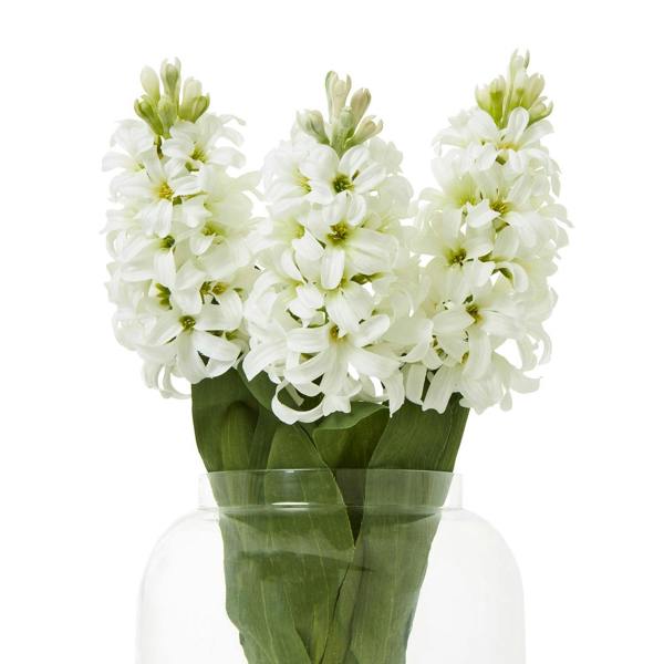 Wyld Haus Set of 3 Artificial Flowers White Hyacinth Stems