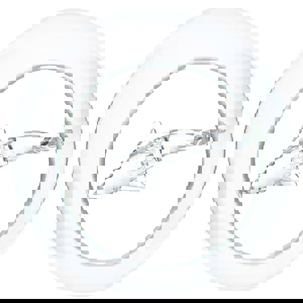 Glass Shark Wine Glass. A Fin-tastic Twist on Your Tipple