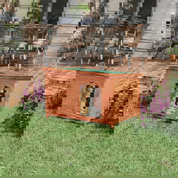 D02-173V00OG