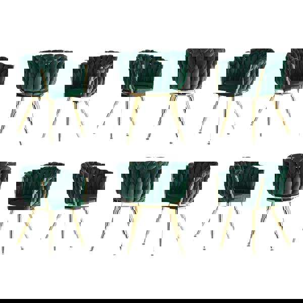 Life Interiors Set of 6 Roma Knot Velvet Armchairs with Gold Metal Legs, Modern Tufted Design for Living Room