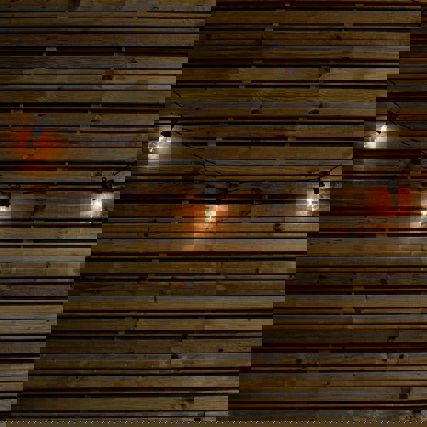 Samuel Alexander Set of 10 Indoor Outdoor Connectable Festoon Lights with Warm White LEDs