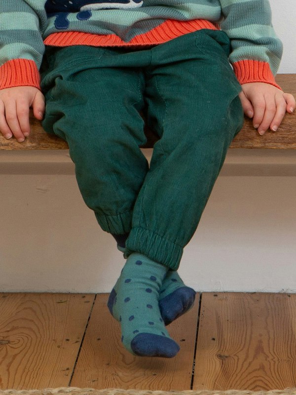 Kite Boys Organic Dino Socks