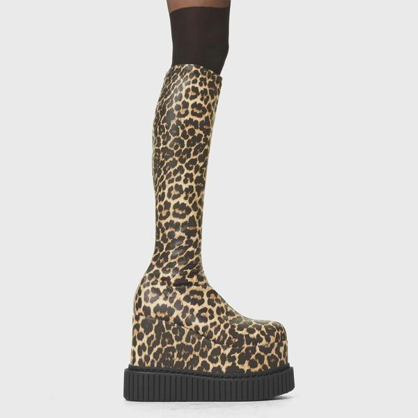 Lamoda You're Wild Brown Leopard Chunky Platform Creeper Knee High Boots