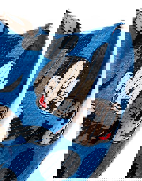 Disney Boys Blue Mickey Mouse Bucket Hat & Cap Set (One Size)