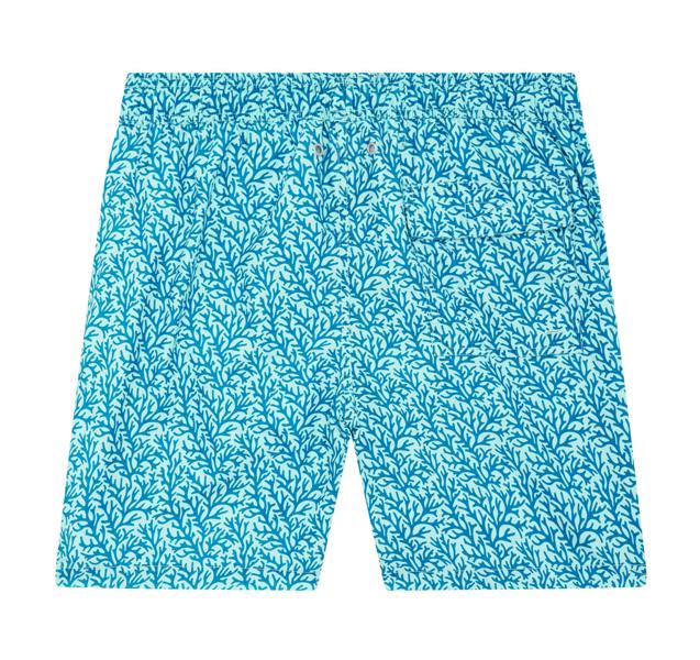 Tom & Teddy Aqua & Blue Coral