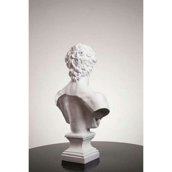 Artchi Michelangelo’s David Bust