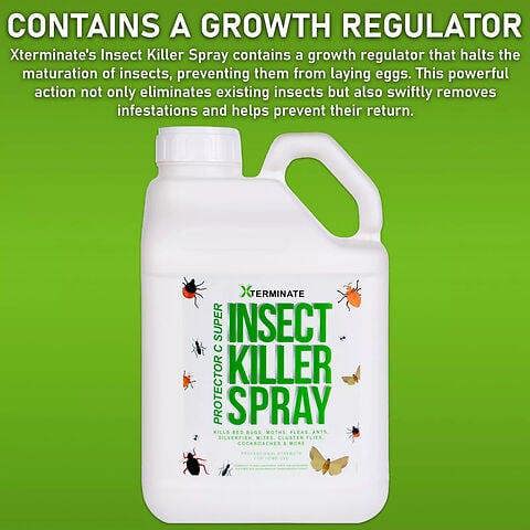 Xterminate Insect Killer Spray Kit 1 x 5L and 1 x 1L spray
